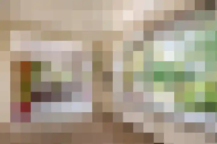 Dillenburglaan 8 Voorschoten thumbnail 16
