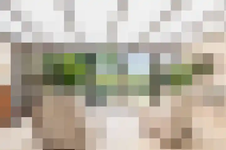 Dillenburglaan 8 Voorschoten thumbnail 22
