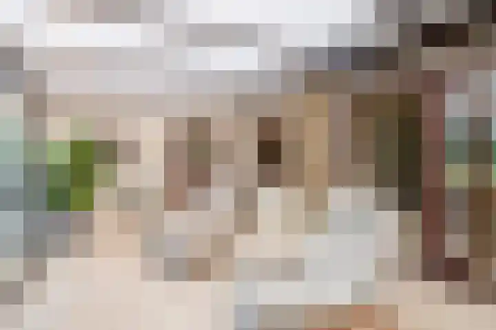 Dillenburglaan 8 Voorschoten thumbnail 23