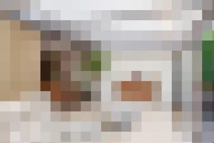 Dillenburglaan 8 Voorschoten thumbnail 24