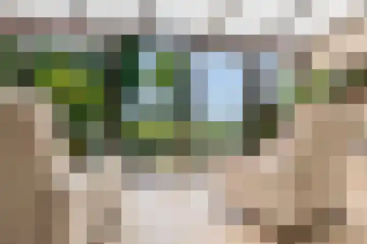 Dillenburglaan 8 Voorschoten thumbnail 25