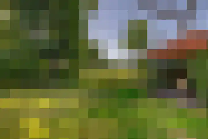 Dillenburglaan 8 Voorschoten thumbnail 28