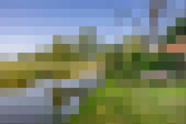 Dillenburglaan 8 Voorschoten thumbnail 29