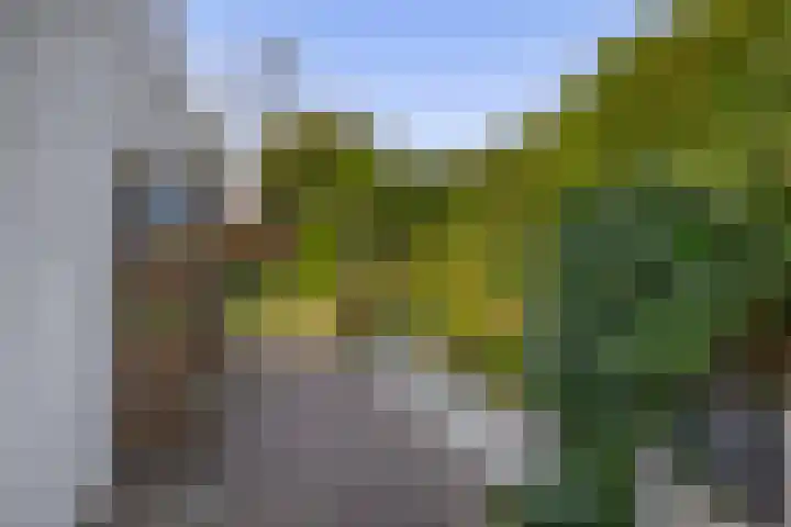 Dillenburglaan 8 Voorschoten thumbnail 32