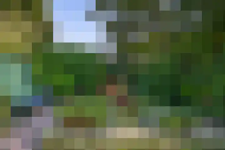 Dillenburglaan 8 Voorschoten thumbnail 33