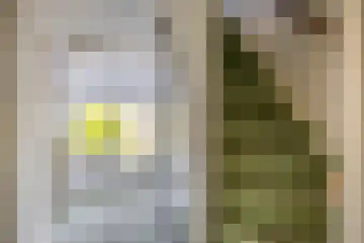 Dillenburglaan 8 Voorschoten thumbnail 34