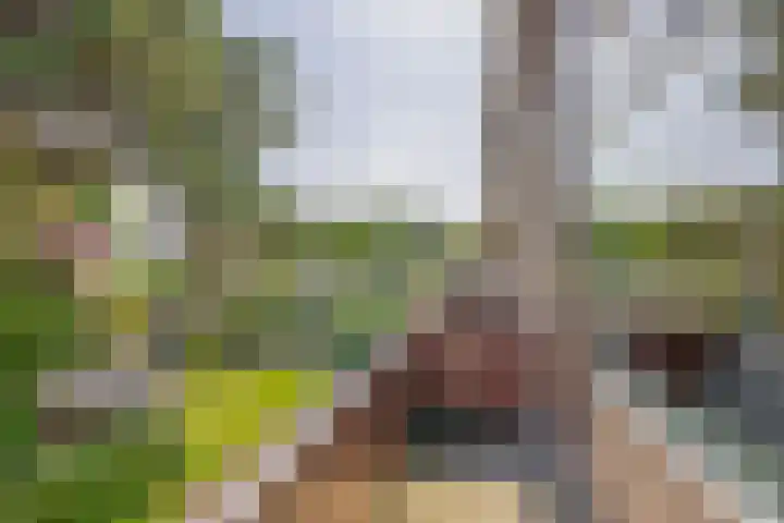 Dillenburglaan 8 Voorschoten thumbnail 39