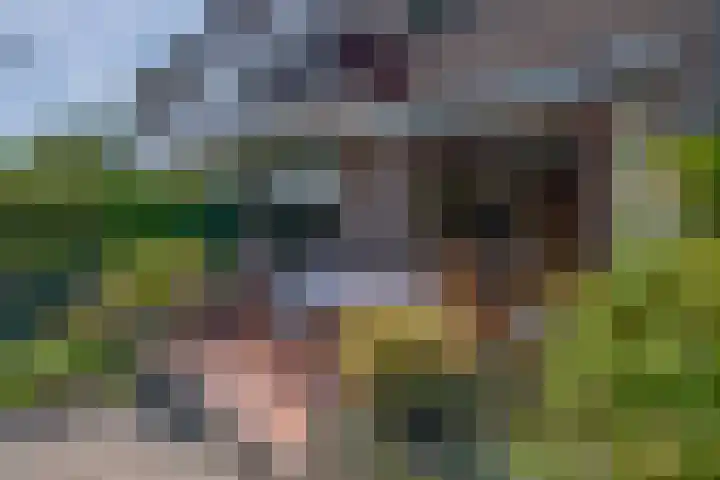 Dillenburglaan 8 Voorschoten thumbnail 4