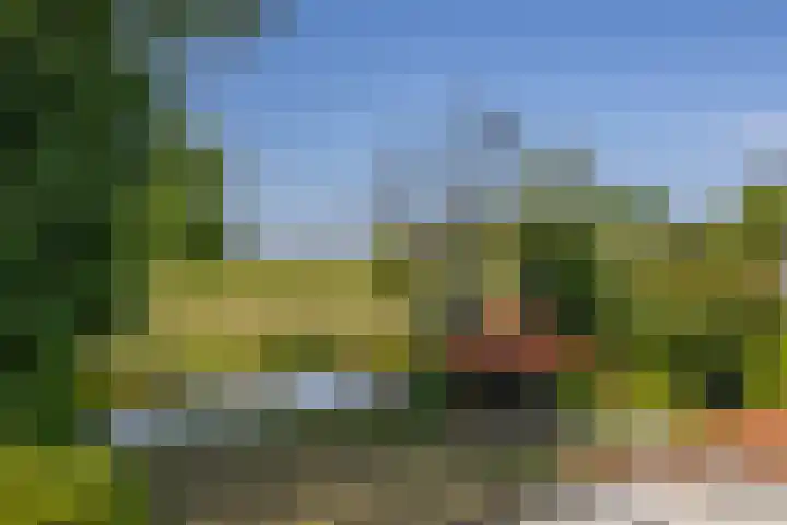 Dillenburglaan 8 Voorschoten thumbnail 40