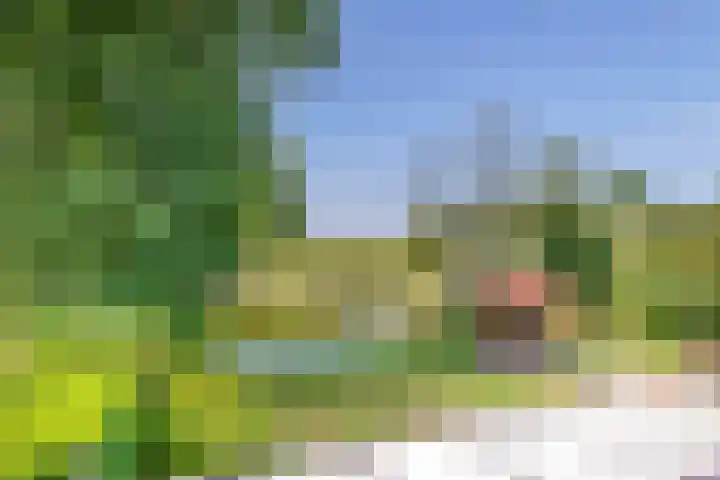 Dillenburglaan 8 Voorschoten thumbnail 45