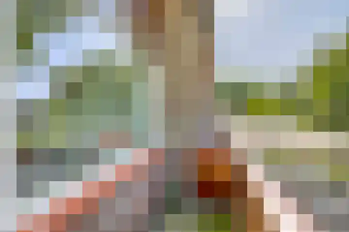 Dillenburglaan 8 Voorschoten thumbnail 46