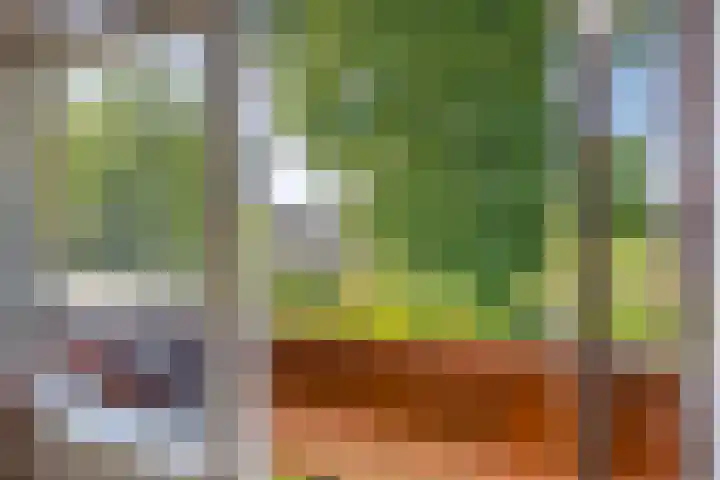Dillenburglaan 8 Voorschoten thumbnail 47