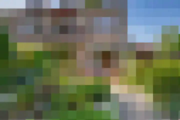 Dillenburglaan 8 Voorschoten thumbnail 49