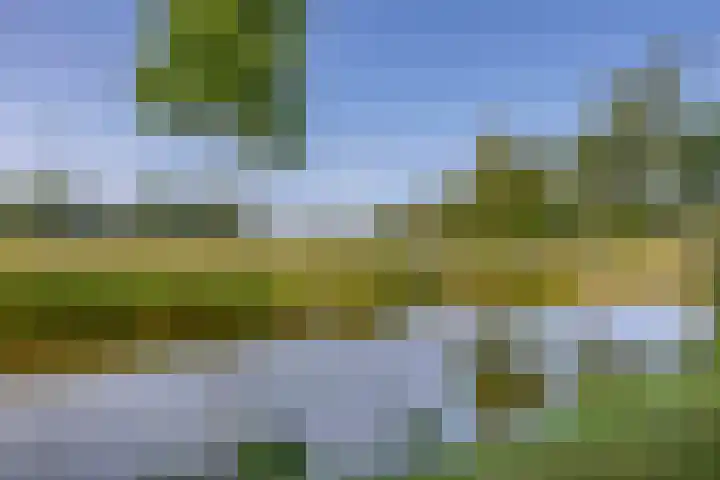 Dillenburglaan 8 Voorschoten thumbnail 54
