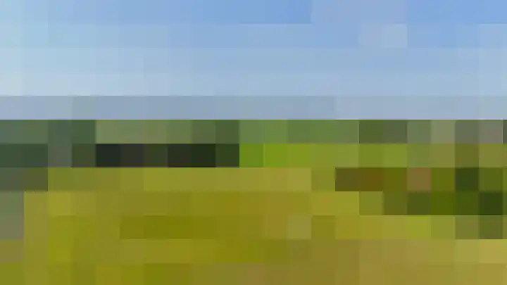 Dillenburglaan 8 Voorschoten thumbnail 57