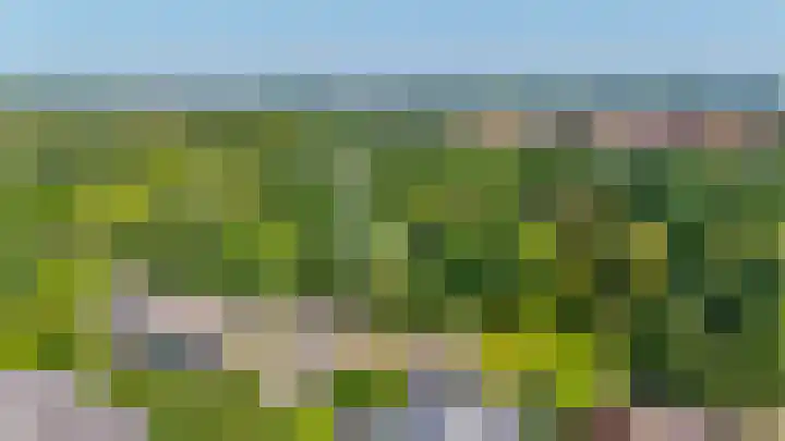 Dillenburglaan 8 Voorschoten thumbnail 59