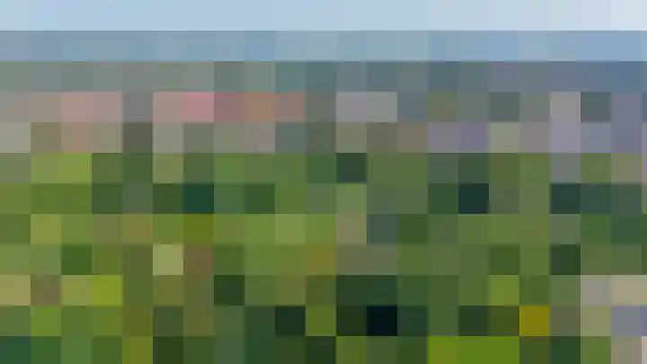 Dillenburglaan 8 Voorschoten thumbnail 61