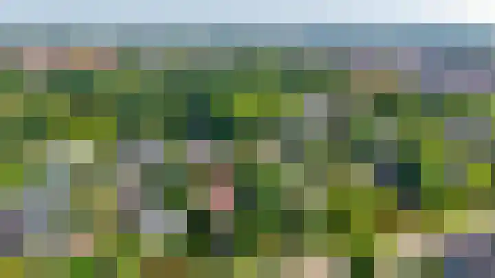 Dillenburglaan 8 Voorschoten thumbnail 62