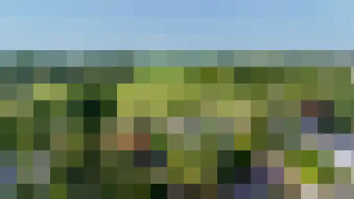 Dillenburglaan 8 Voorschoten thumbnail 65
