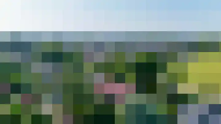 Dillenburglaan 8 Voorschoten thumbnail 66