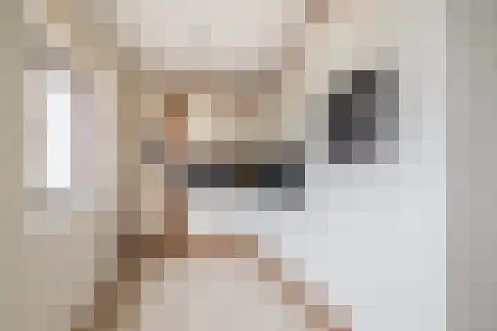 Dillenburglaan 8 Voorschoten thumbnail 8