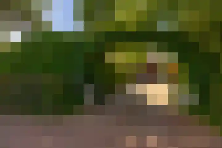 Dillenburglaan 8 Voorschoten thumbnail 9