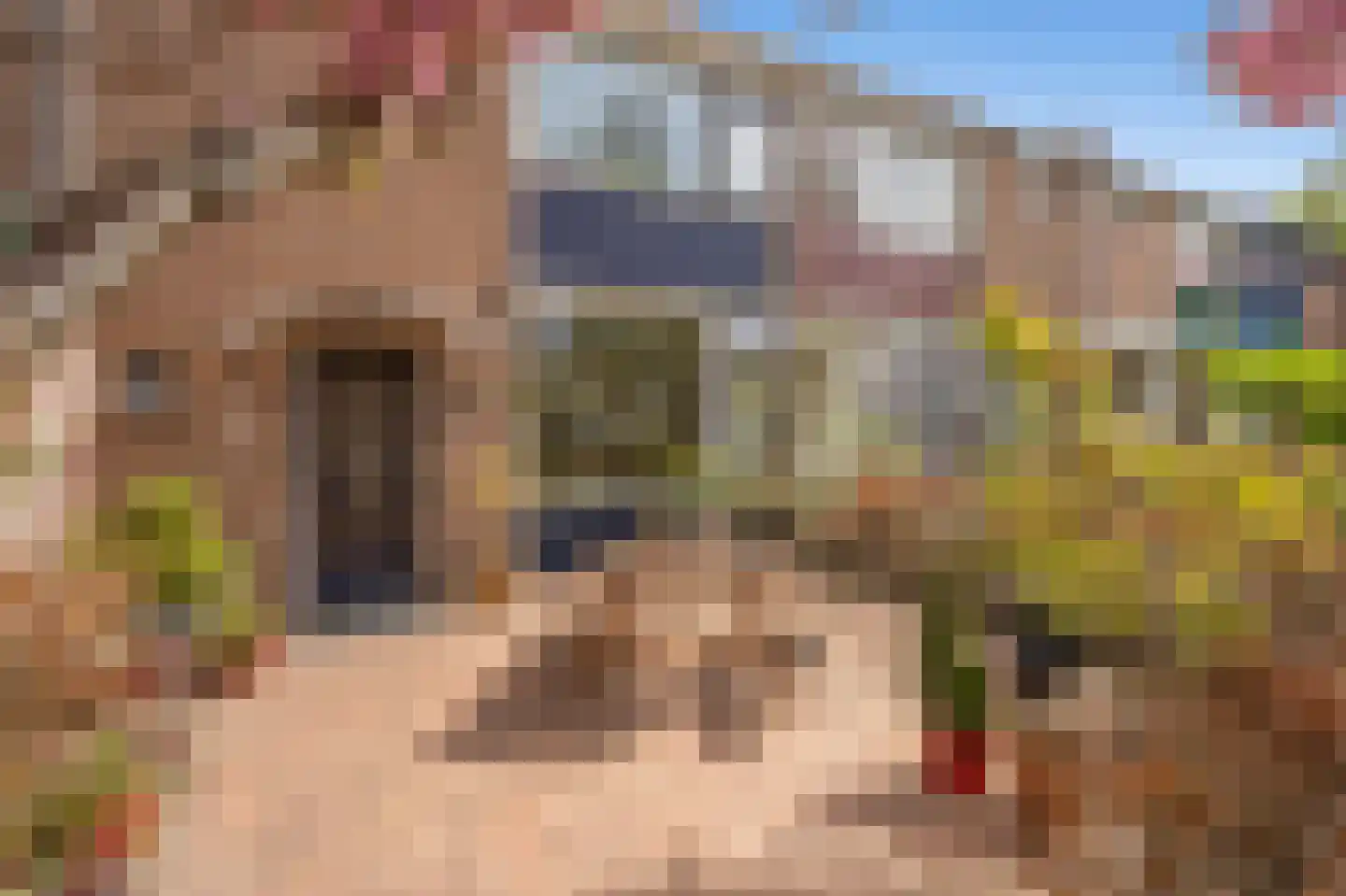 Dillenburgsingel 59 Leidschendam thumbnail 6