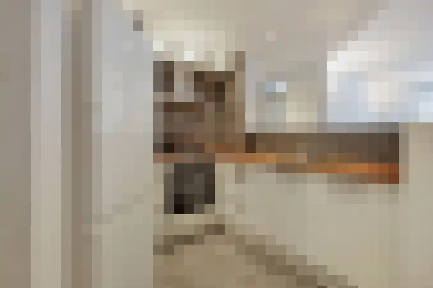 Dillenburgstraat 12 Breda thumbnail 17
