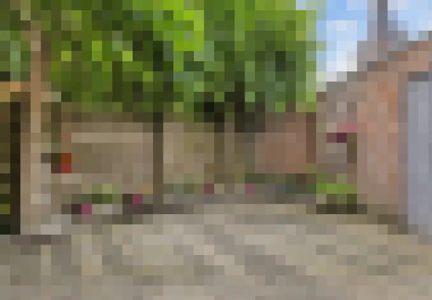 Dillenburgstraat 12 Breda thumbnail 4