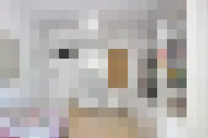 Dillenburgstraat 12 Zwolle thumbnail 18