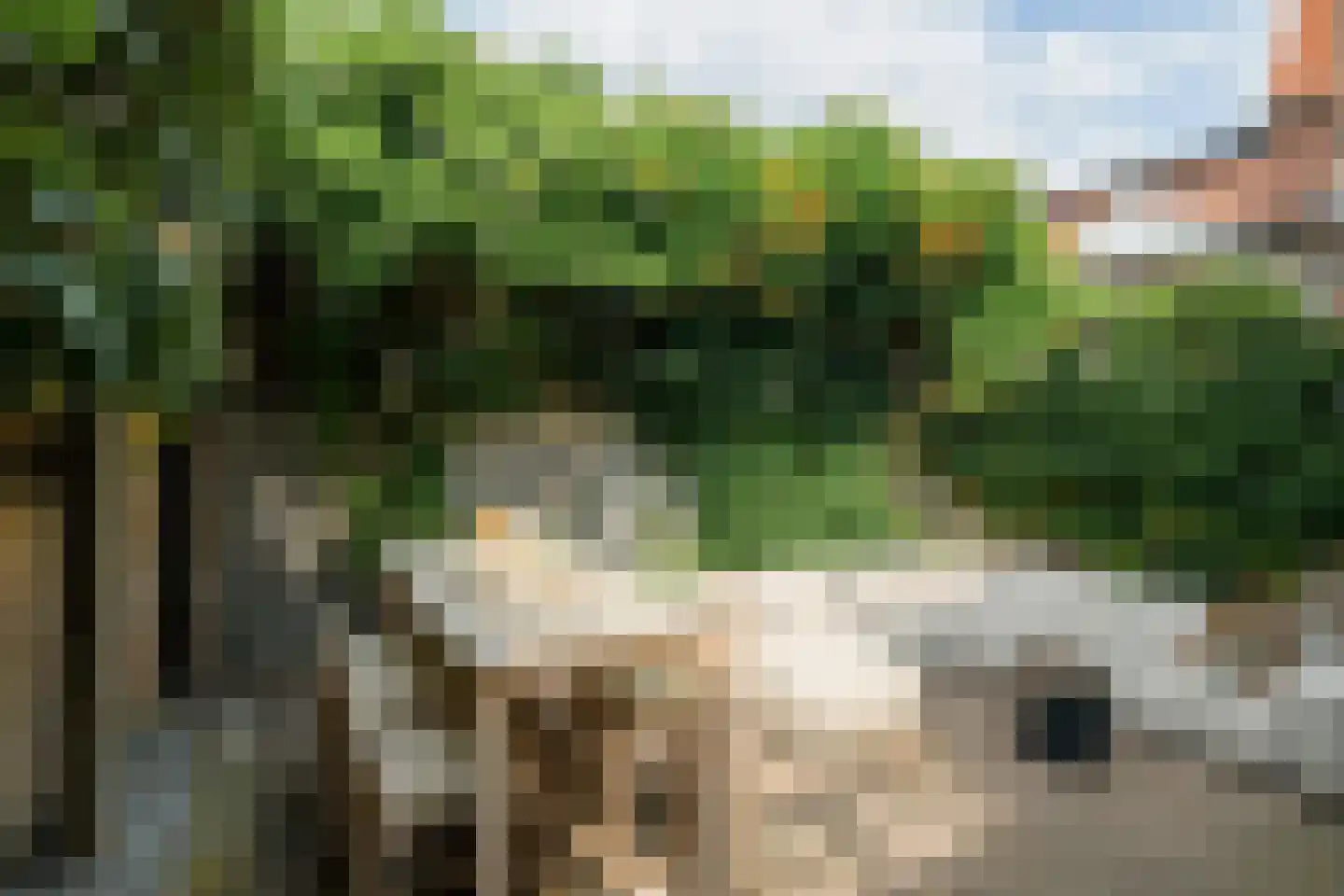Dillenburgstraat 13 Breda thumbnail 55