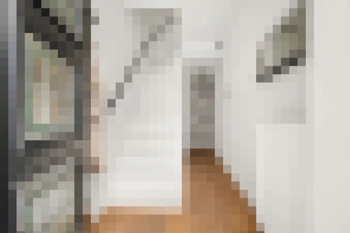 Dillenburgstraat 13 Breda thumbnail 9