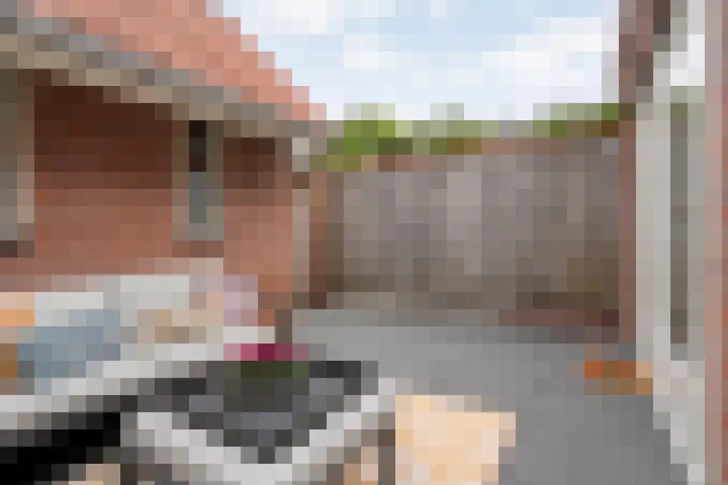 Dillenburgstraat 13 Nijverdal thumbnail 34