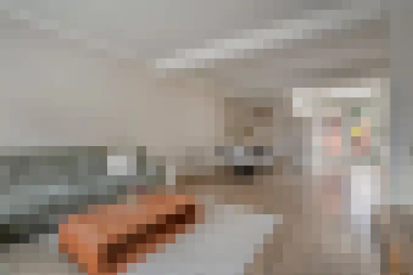 Dillenburgstraat 13 Nijverdal thumbnail 7