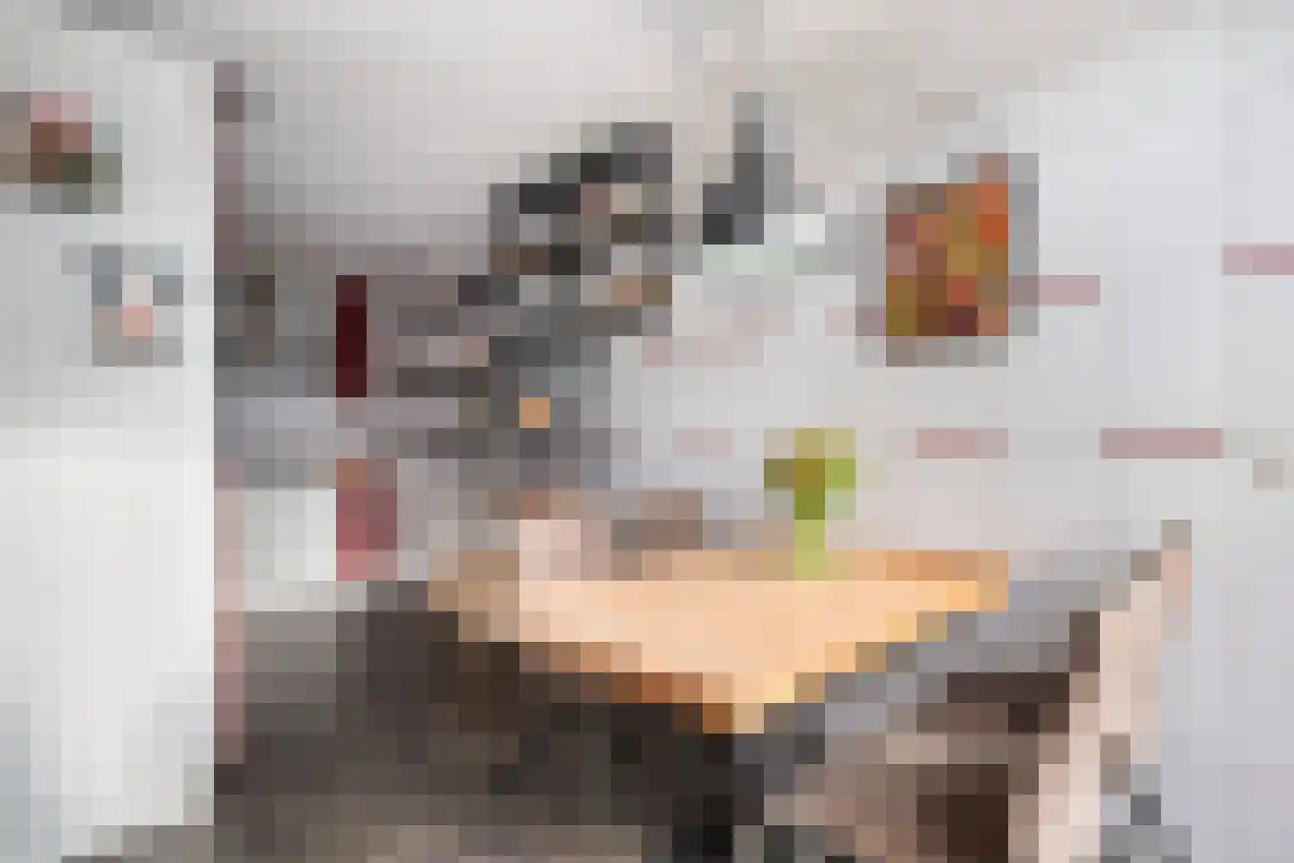 Dillenburgstraat 14 Rotterdam thumbnail 12