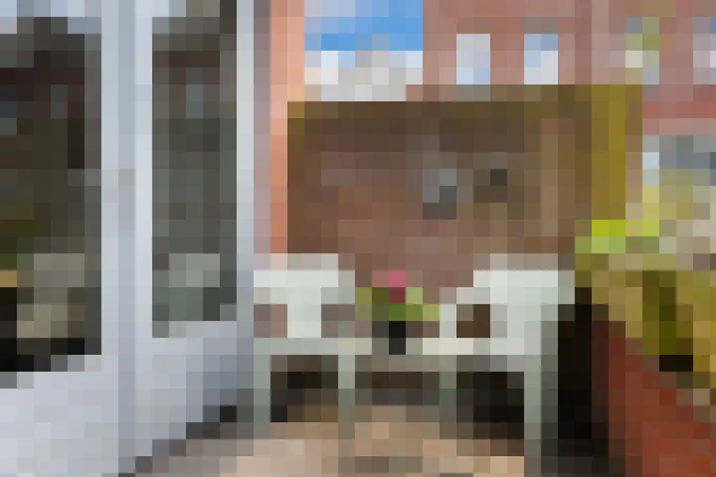 Dillenburgstraat 14 Rotterdam thumbnail 20