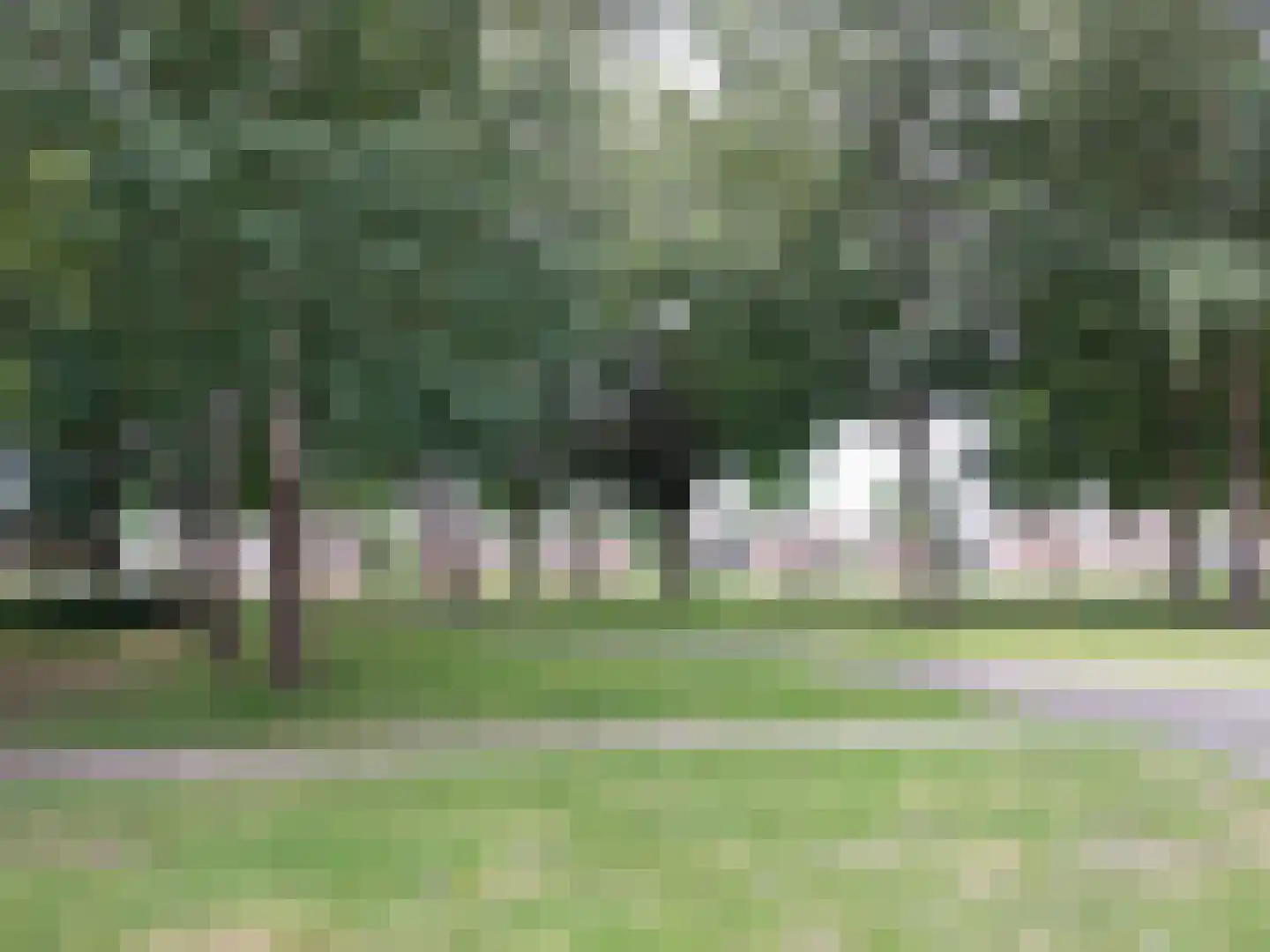 Dillenburgstraat 14 Rotterdam thumbnail 48