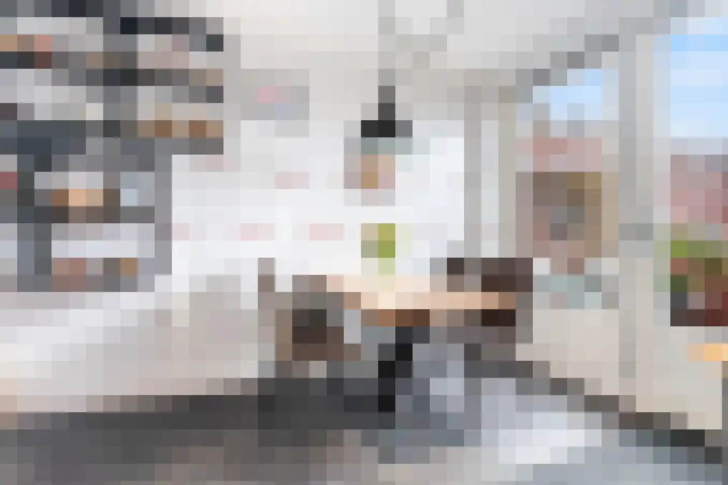 Dillenburgstraat 14 Rotterdam thumbnail 5