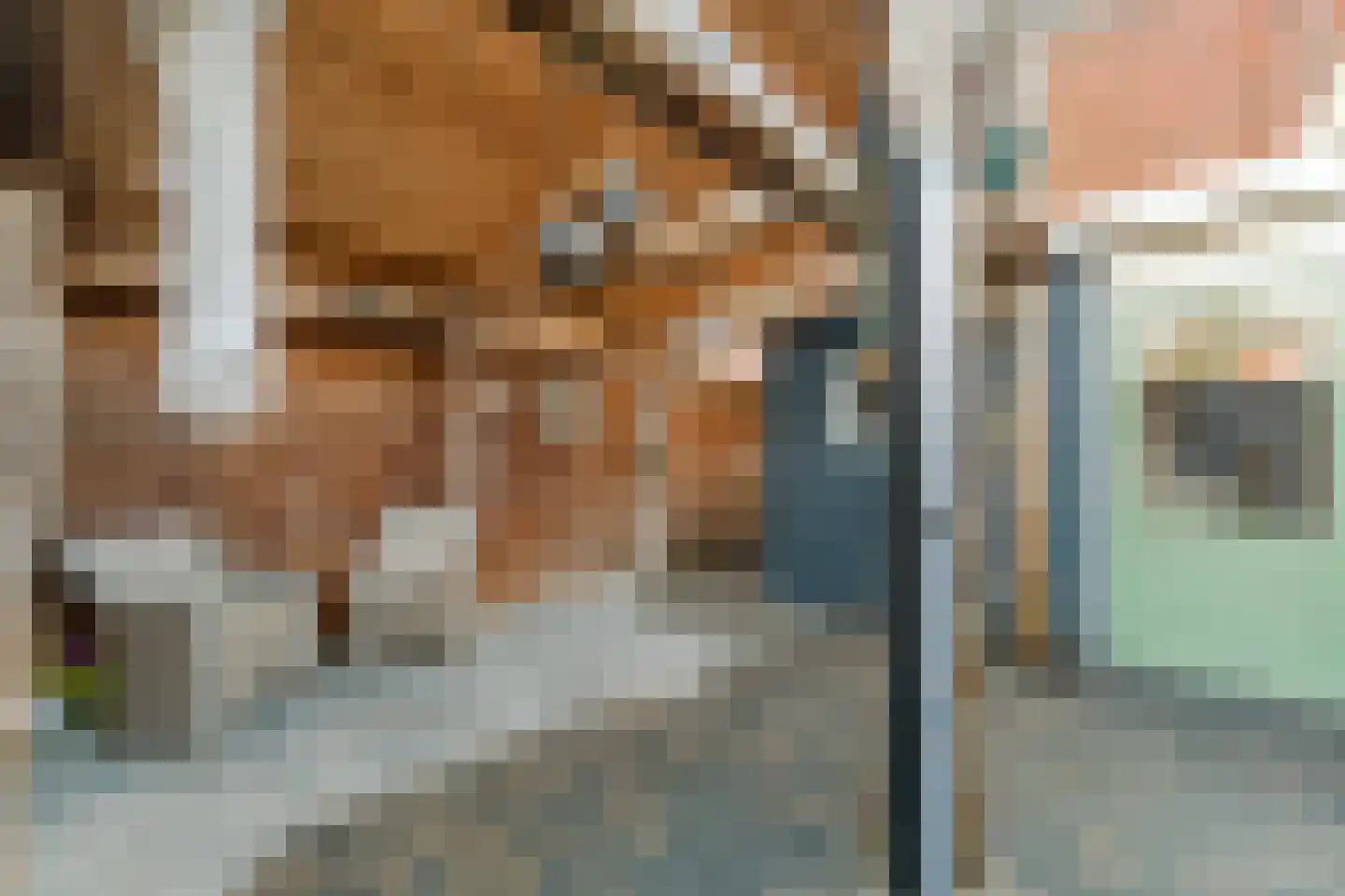 Dillenburgstraat 15 Nijverdal thumbnail 23