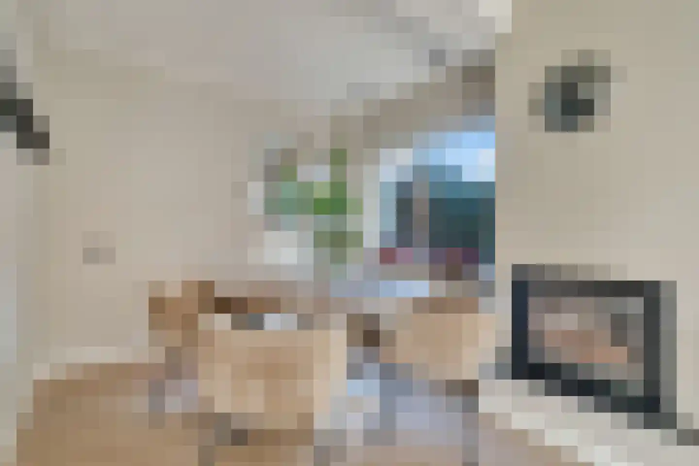 Dillenburgstraat 15 Nijverdal thumbnail 8