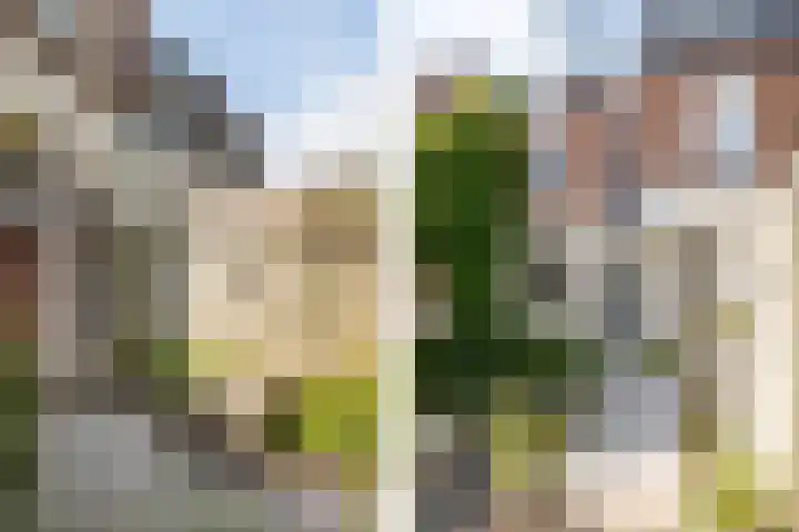Dillenburgstraat 17 Breda thumbnail 40