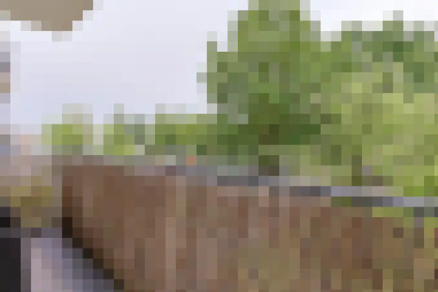 Dillenburgstraat 38 Alphen aan den Rijn thumbnail 31