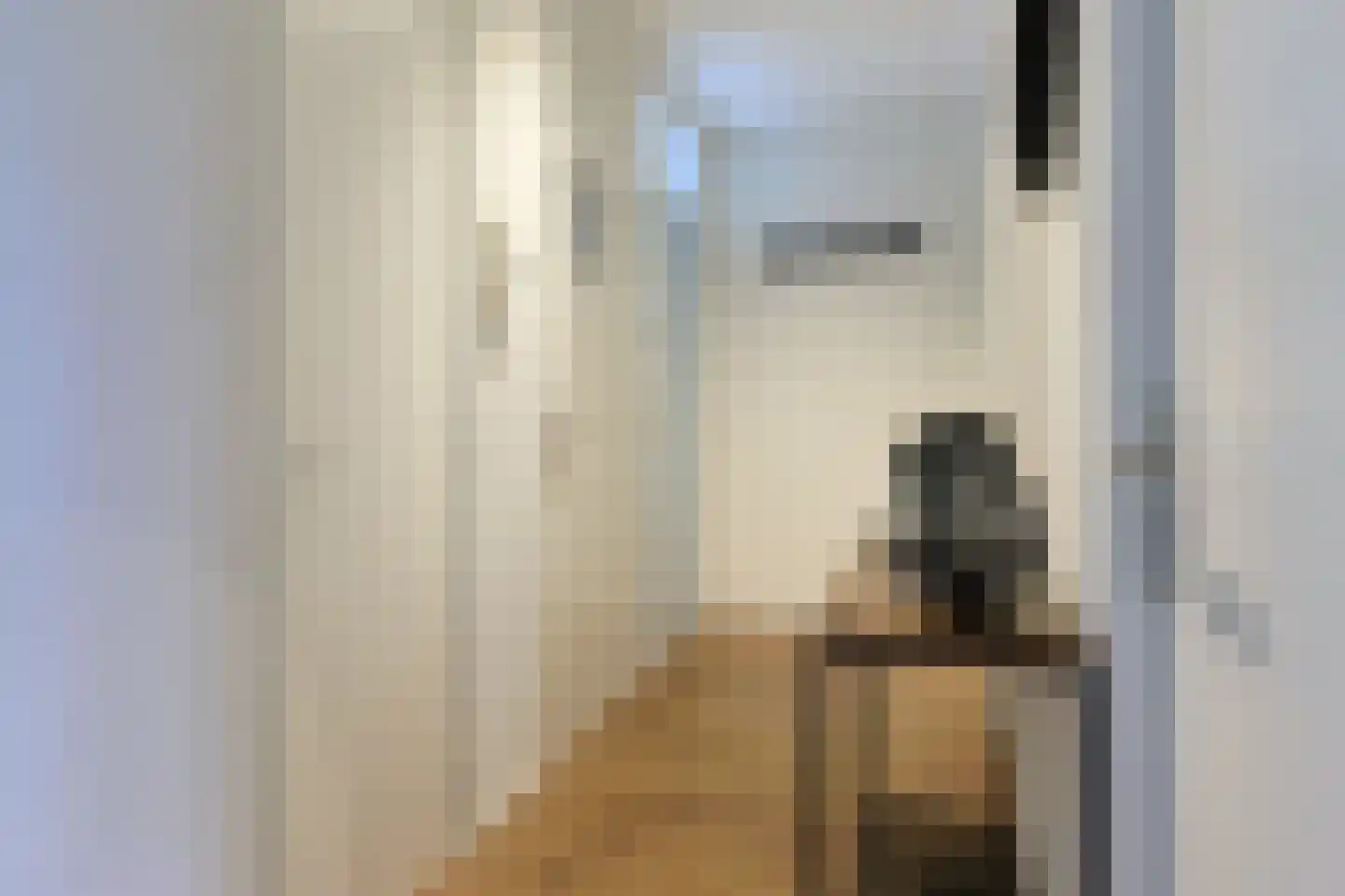 Dillenburgstraat 38 Alphen aan den Rijn thumbnail 5