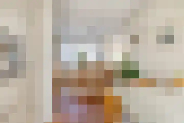 Dillenburgstraat 41 Drunen thumbnail 11