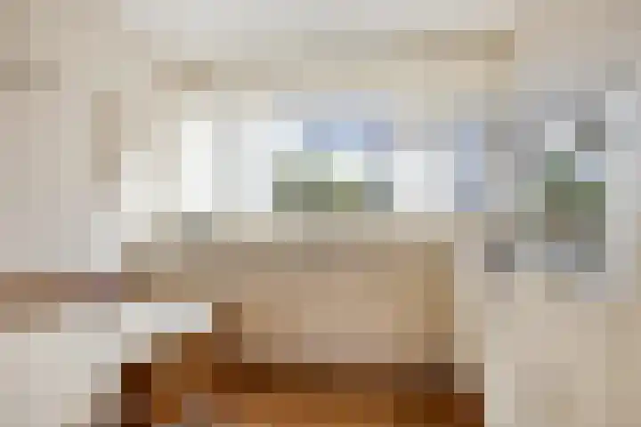 Dillenburgstraat 41 Drunen thumbnail 12
