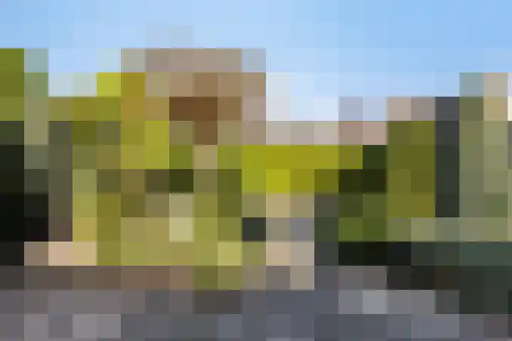Dillenburgstraat 41 Drunen thumbnail 30