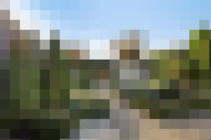 Dillenburgstraat 41 Drunen thumbnail 31