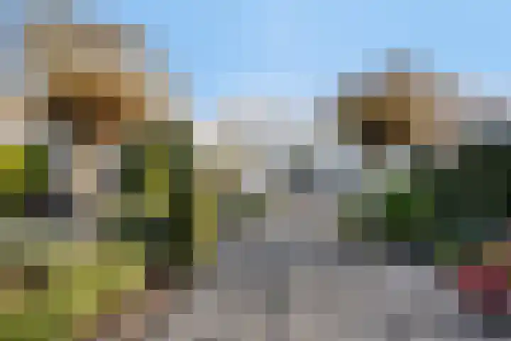 Dillenburgstraat 41 Drunen thumbnail 4