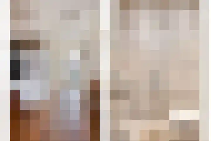 Dillenburgstraat 41 Drunen thumbnail 5