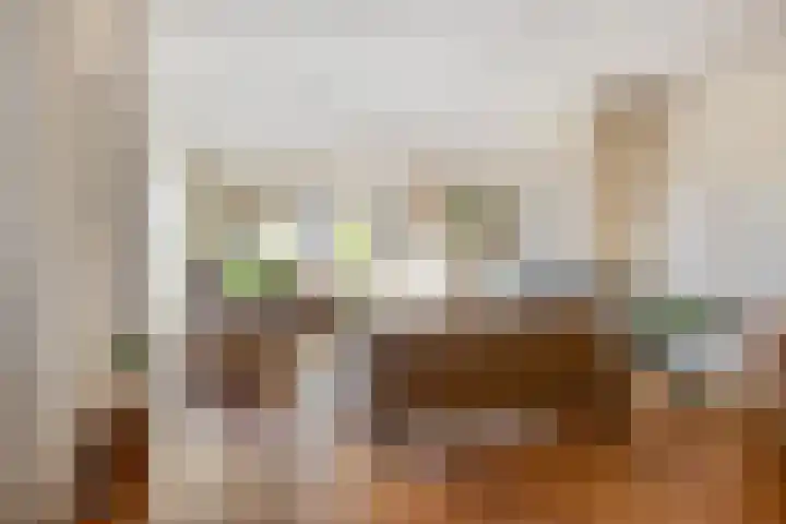 Dillenburgstraat 41 Drunen thumbnail 8